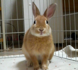 2010102417510000.jpg