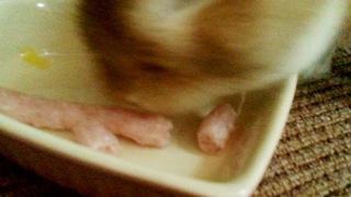 2011_12_15_09_47_38s.jpg