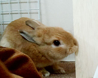 2011_12_15_10_02_12s.jpg